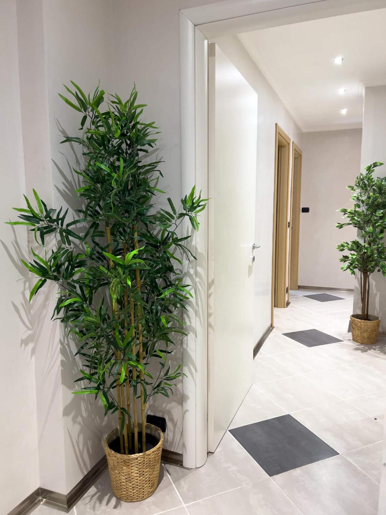 Sofia Guest House 로마 외부 사진