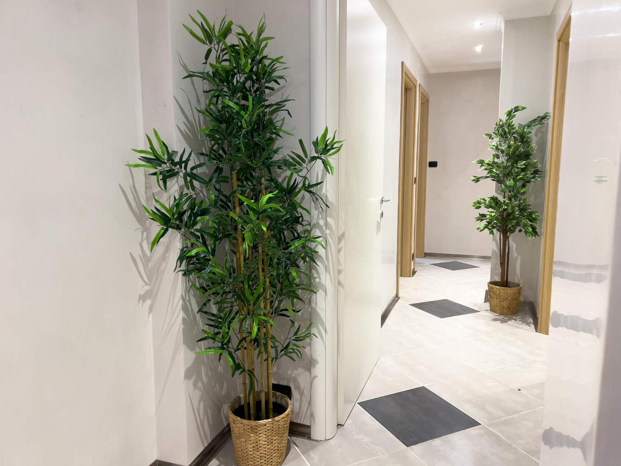 Sofia Guest House 로마 외부 사진